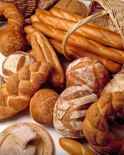 Bread Talks ว่าด้วยเรื่องขนมปัง