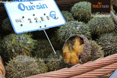 ไข่หอยเม่น ภาษาฝรั่งเศสเรียกว่า Oursin