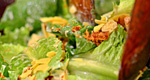 บุฟเฟ่ต์อาหารออร์แกนิคเพื่อสุขภาพ ที่ห้องอาหารฝรั่งเศส – ไทย คาเฟ่ แอท ทู